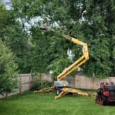 Best Sod Installation  in Post Falls, ID